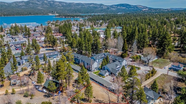 0 Pine Knot Ave, Big Bear Lake, CA 92315