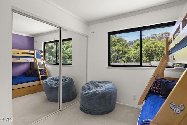 835 Woodgrove Rd, Fillmore, CA 93015 - photo 48