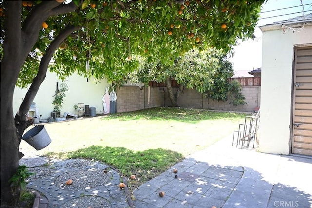 9529 Annetta Ave, South Gate, CA 90280 - fenced backyard with a patio