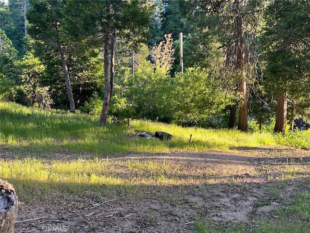29038 Terrace Ter, Cedar Glen, CA 92321