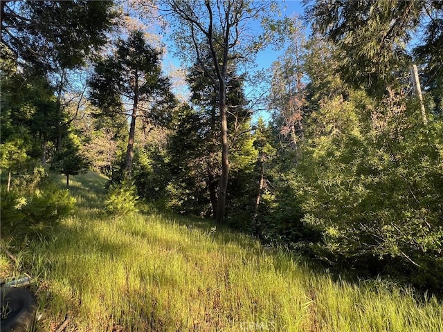 29038 Terrace Ter, Cedar Glen, CA 92321