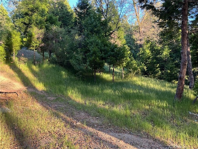 29038 Terrace Ter, Cedar Glen, CA 92321