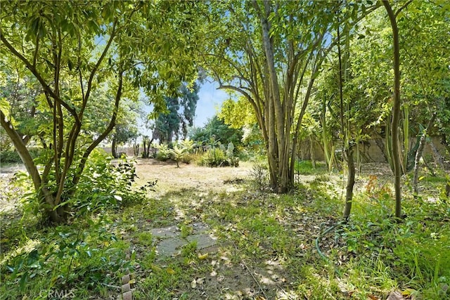 214 W Le Roy Ave, Arcadia, CA 91007 - view of nature