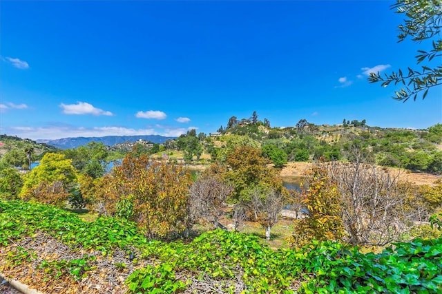 40057 S Shore Rd, Fallbrook, CA 92028 - view of mountain backdrop