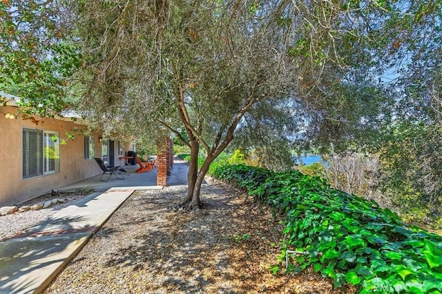 40057 S Shore Rd, Fallbrook, CA 92028 - view of yard with a patio area