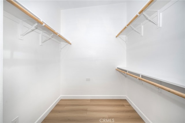 walk in closet featuring light wood finished floors
