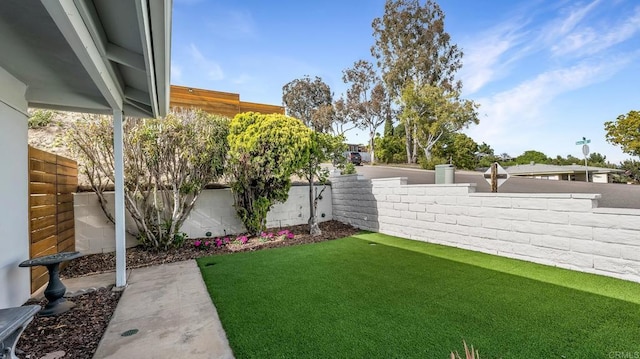 3317 Buena Hills Dr, Oceanside, CA 92056 - view of yard