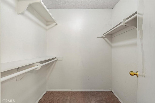 4141 Via Marisol Unit 215, Los Angeles, CA 90042 - walk in closet featuring carpet flooring