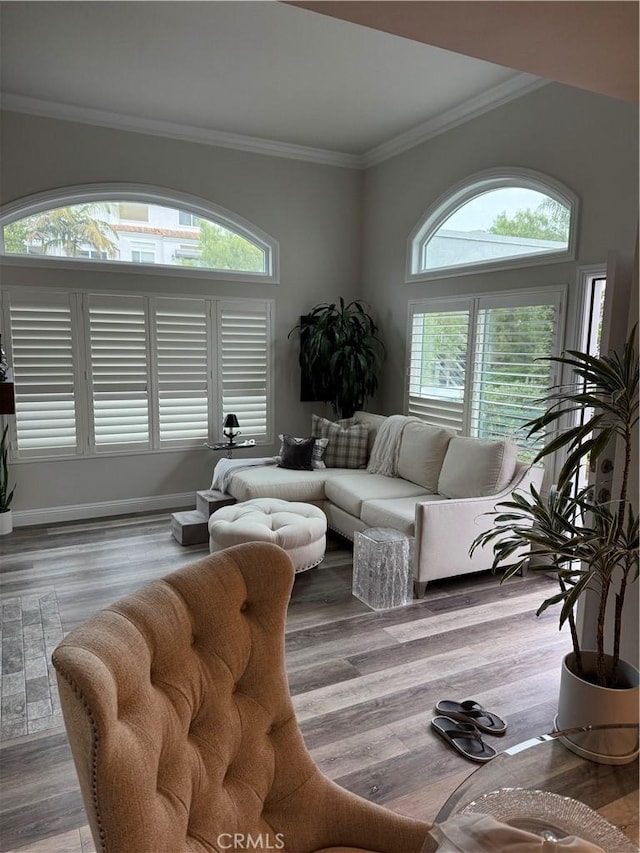 28185 Via Luis, Laguna Niguel, CA 92677 - living area with crown molding, wood finished floors, and baseboards