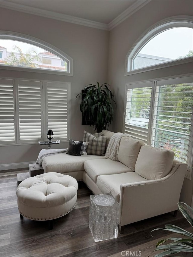 28185 Via Luis, Laguna Niguel, CA 92677 - living room with crown molding and wood finished floors