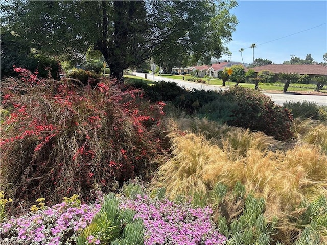 338 S La Serena Dr, West Covina, CA 91791 - view of yard
