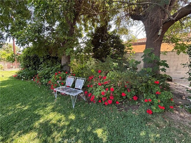 338 S La Serena Dr, West Covina, CA 91791 - view of yard