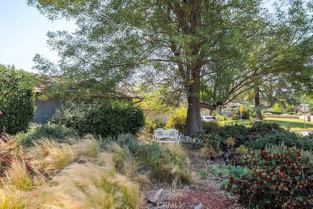 338 S La Serena Dr, West Covina, CA 91791 - view of yard