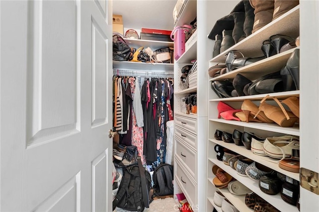 view of walk in closet