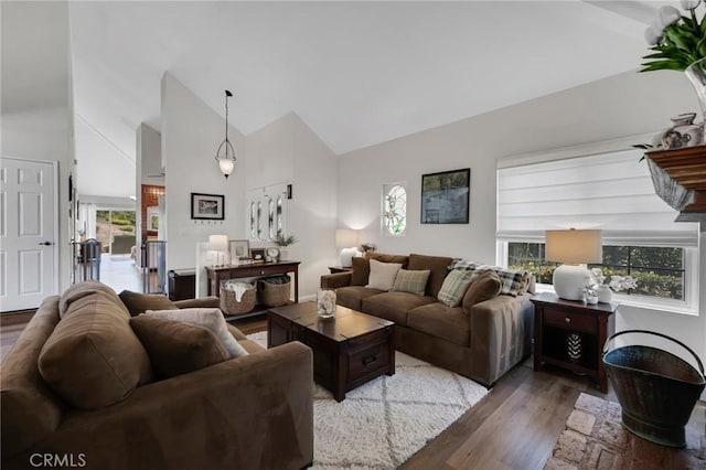 living area featuring wood finished floors, plenty of natural light, and high vaulted ceiling