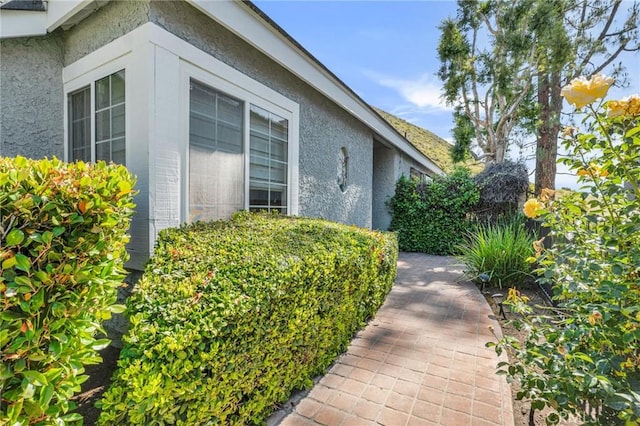 view of home's exterior featuring stucco siding