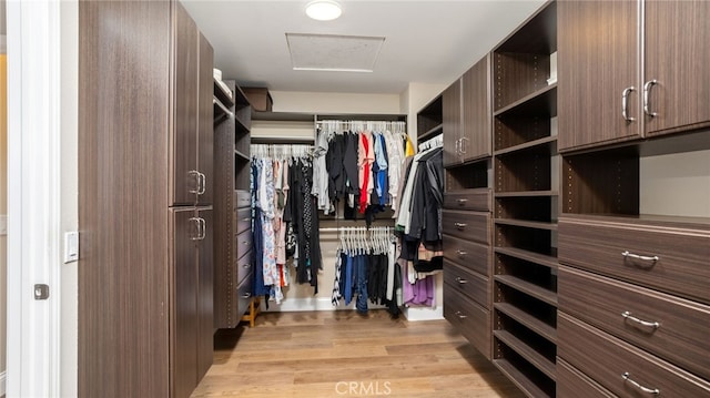walk in closet with attic access and light wood-type flooring
