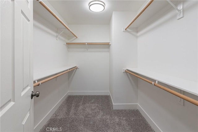 6018 William St, Riverside, CA 92504 - walk in closet with carpet flooring