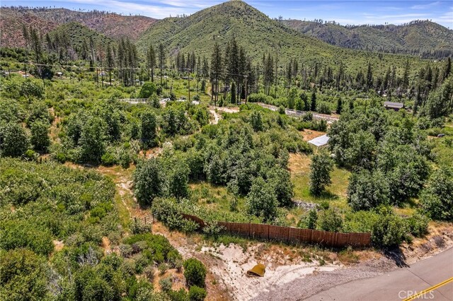 4189 Schwyhart Ln, Oroville, CA 95965 - photo 8