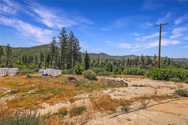 4189 Schwyhart Ln, Oroville, CA 95965 - photo 5
