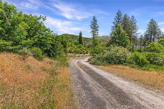 4189 Schwyhart Ln, Oroville, CA 95965 - photo 3