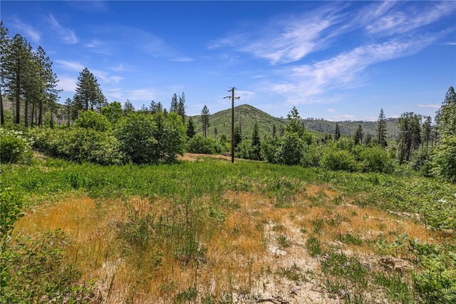 4189 Schwyhart Ln, Oroville, CA 95965 - photo 6