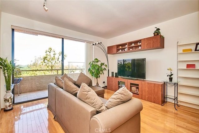 1144 Walnut Grove Ave Unit C, Rosemead, CA 91770 - living area featuring light wood-style floors and healthy amount of natural light