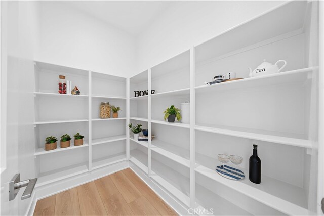 270 Maricopa, Irvine, CA 92618 - view of storage area