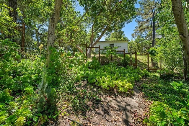 1359 Berwick Dr, Cambria, CA 93428 - view of yard