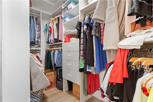 64 Camino, San Jose, San Clemente, CA 92672 - spacious closet featuring wood finished floors