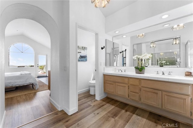 64 Camino, San Jose, San Clemente, CA 92672 - bathroom featuring lofted ceiling, toilet, wood finished floors, ensuite bathroom, and double vanity