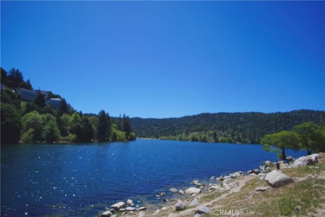 319 Dorn Dr, Crestline, CA 92325 - water view featuring a forest