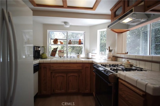 319 Dorn Dr, Crestline, CA 92325 - kitchen featuring freestanding refrigerator, gas stove, a sink, under cabinet range hood, and wood finished floors