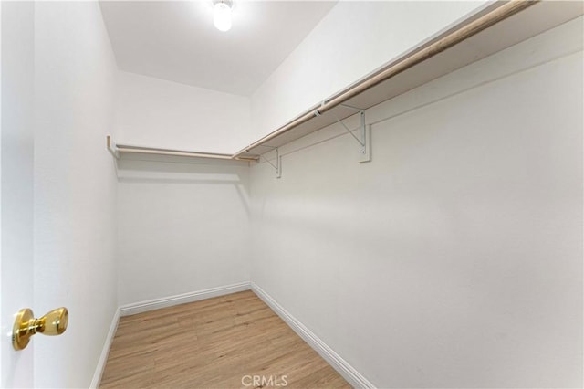 spacious closet with light wood-type flooring