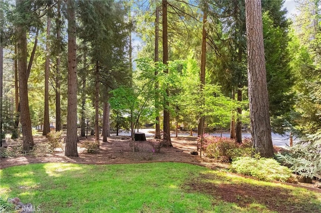 6175 Showdown Cir, Magalia, CA 95954 - view of yard