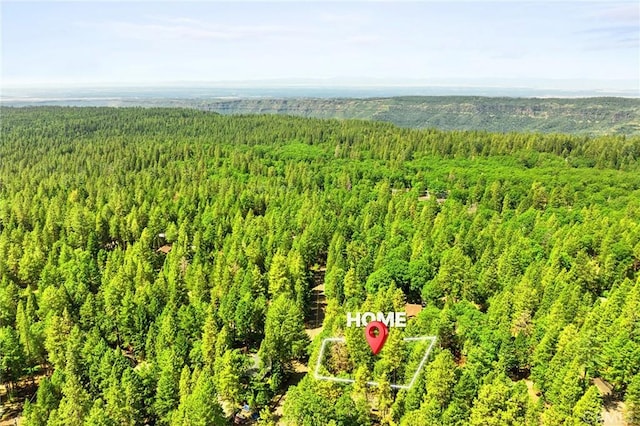 6175 Showdown Cir, Magalia, CA 95954 - bird's eye view of a forest