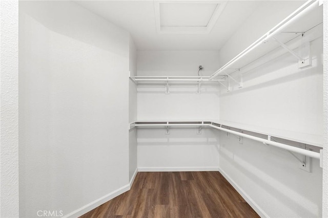 6175 Showdown Cir, Magalia, CA 95954 - spacious closet with attic access and dark wood-style floors