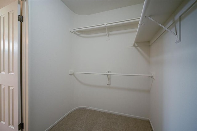 spacious closet featuring carpet flooring