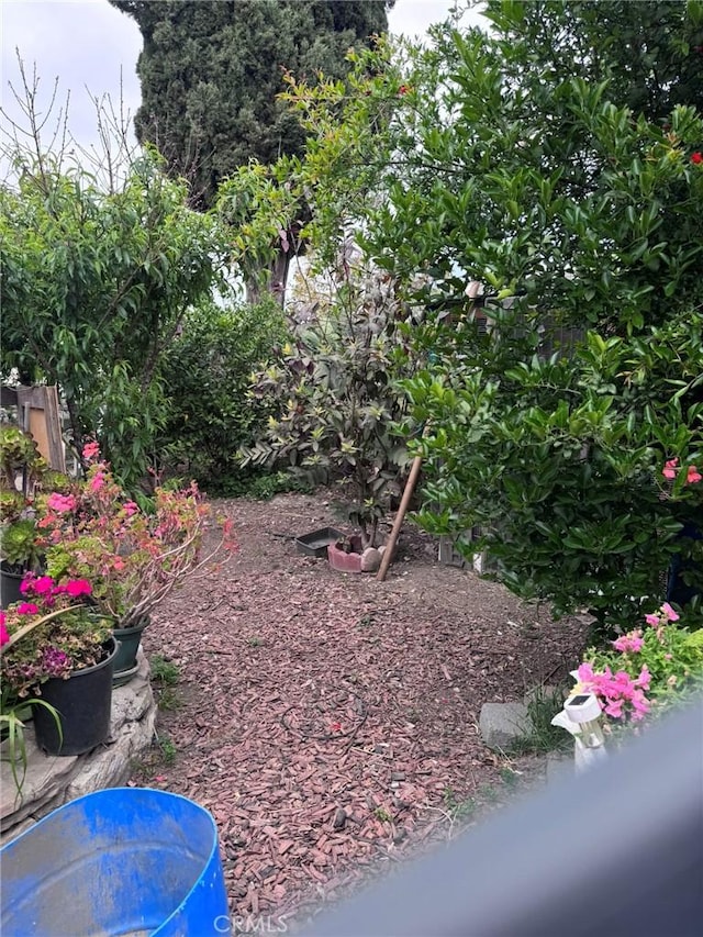 7881 Franklin St, Buena Park, CA 90621 - view of yard