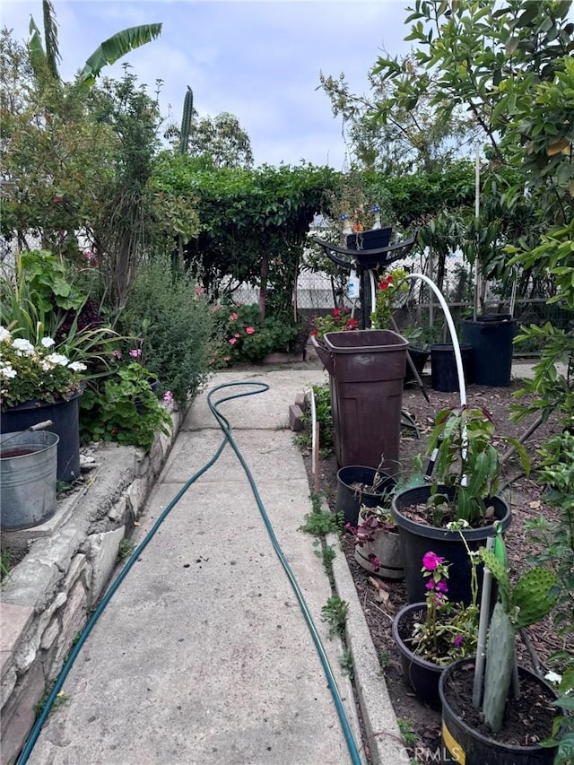 7881 Franklin St, Buena Park, CA 90621 - view of yard