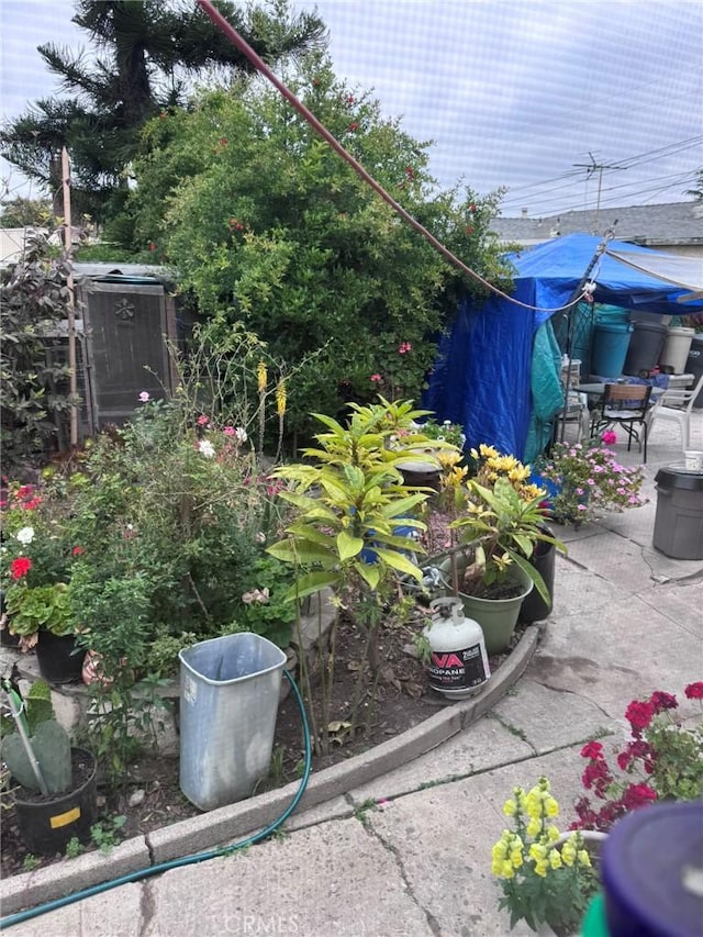 7881 Franklin St, Buena Park, CA 90621 - view of yard featuring a patio