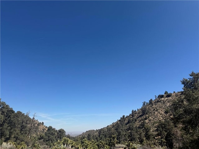 40124 Scenic Crk, Pinon Hills, CA 92372