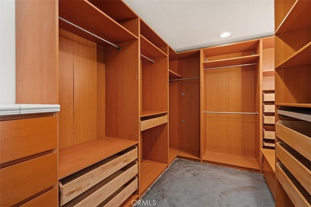 11575 Sunshine Ter, Studio City, CA 91604 - walk in closet with carpet flooring