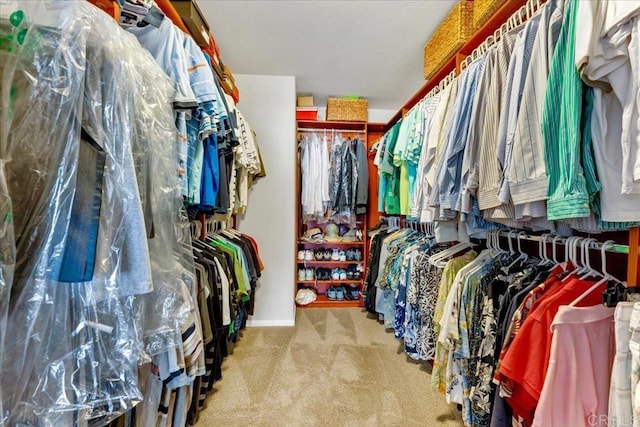 spacious closet featuring carpet floors