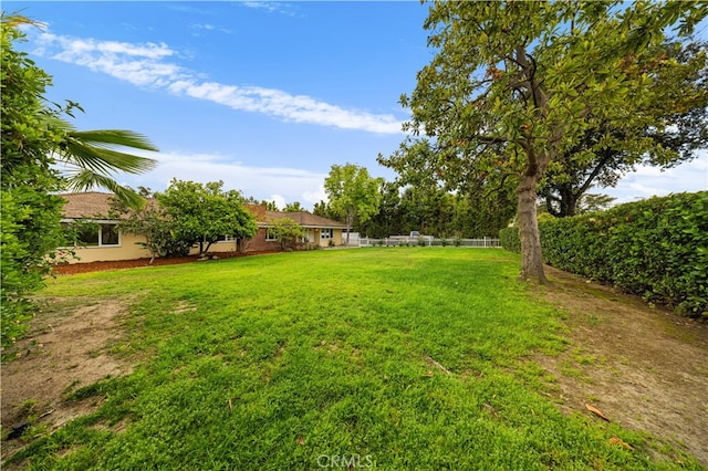 1212 Oakwood Dr, Arcadia, CA 91006 - view of yard