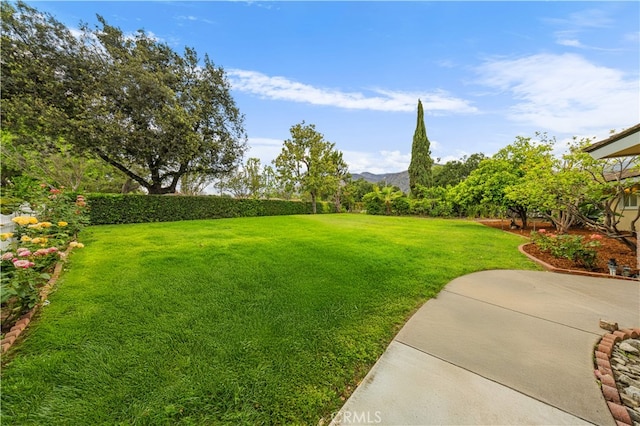 1212 Oakwood Dr, Arcadia, CA 91006 - view of grassy yard featuring a patio and a mountain view