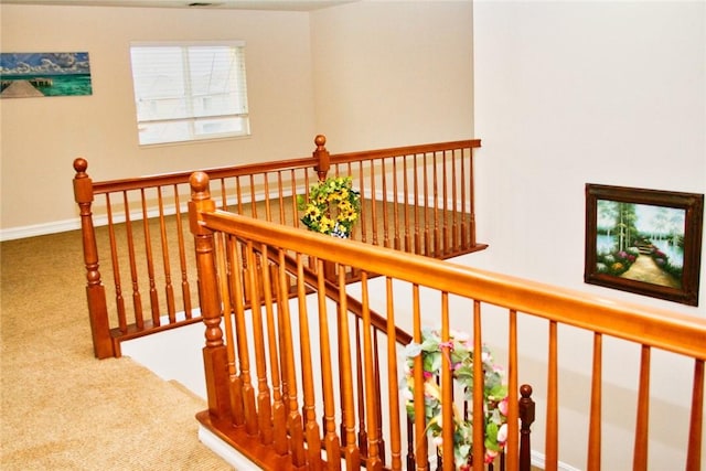 stairs with carpet flooring