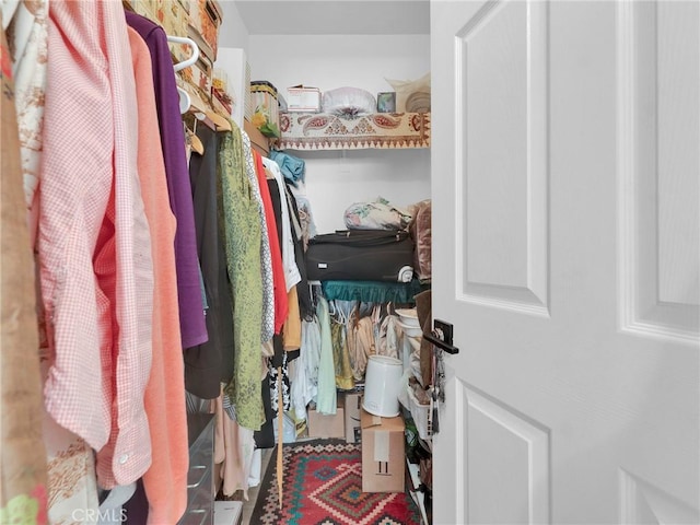 view of walk in closet