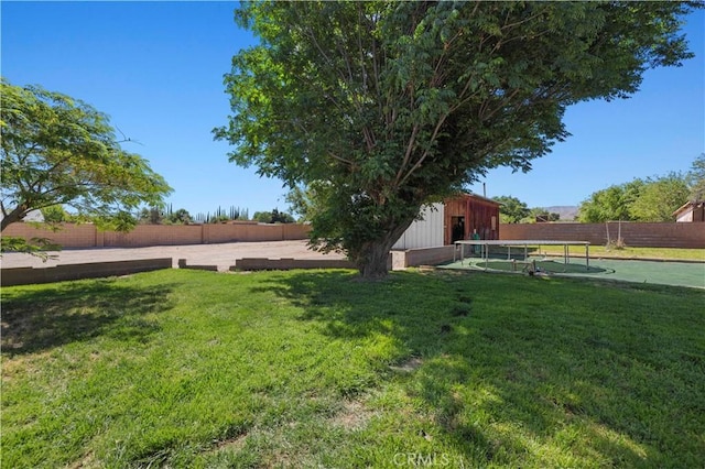 5136 W W Ave L8, Lancaster, CA 93536 - view of yard