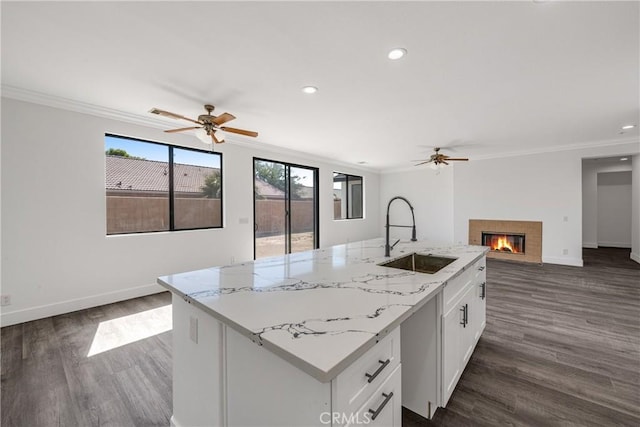 47432 Bahama Ct, Indio, CA 92201 - kitchen with a sink, ceiling fan, ornamental molding, baseboards, and dark wood-type flooring